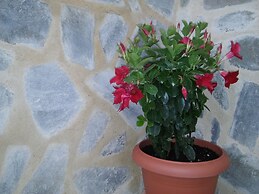 Maria Studios and Apartments