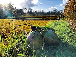 Villa JJ and Spa Ubud
