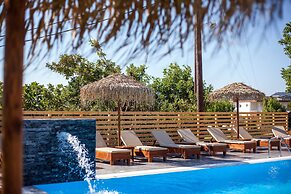 Essential Summer - Adults only