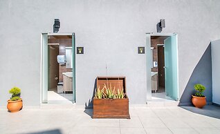 Essential Summer - Adults only