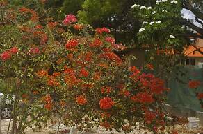 Advantage Mini Resort