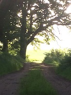 Swedish Idyll