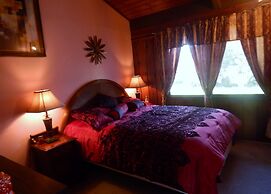 Fern Forest Getaway