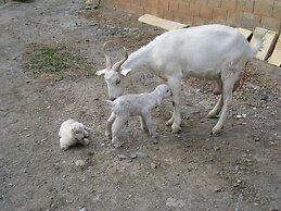 Reul Alto Cortijos Rurales
