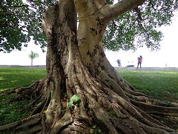 Rusinga Island Lodge
