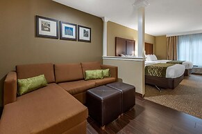 Comfort Inn & Suites Pittsburgh South