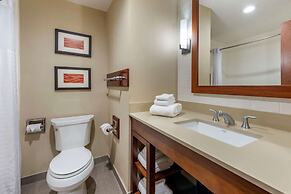 Comfort Inn & Suites Pittsburgh South