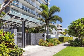 Verve on Cotton Tree