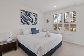 Verve on Cotton Tree