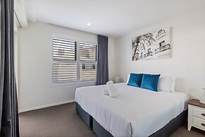 Verve on Cotton Tree