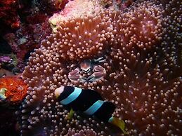 Riveli Retreat at Mathiveri Maldives