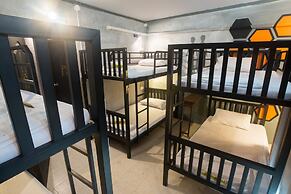 Beehive Phuket Old Town - Hostel