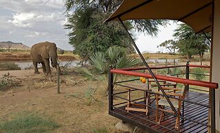 Ashnil Samburu Camp