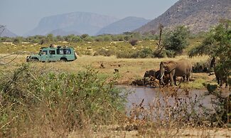 Ashnil Samburu Camp