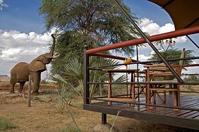Ashnil Samburu Camp