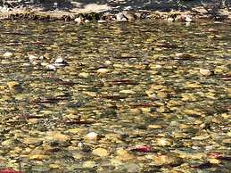 Chase Country Inn Motel