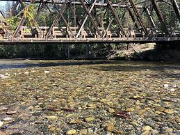 Chase Country Inn Motel