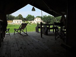 Les Ânes de Forcalquier