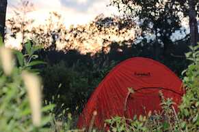 Pepper Farm Phu Quoc Bungalow