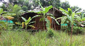Pepper Farm Phu Quoc Bungalow