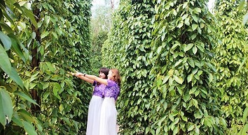 Pepper Farm Phu Quoc Bungalow