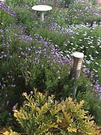 The Nosh & Nod - Avon Terrace