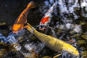 Ishinoya Izu Nagaoka