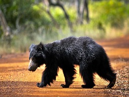 Nature Resort Tissamaharama