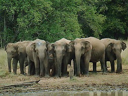 Nature Resort Tissamaharama