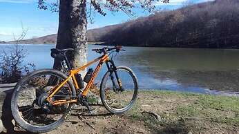 Testa di Monaco Natural Beach