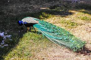 Kasbah Ait Oumghar Iminifri