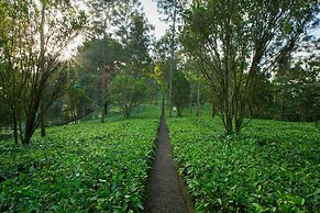 Dream Catcher Plantation Resort