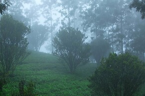 Dream Catcher Plantation Resort