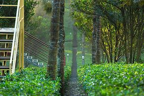 Dream Catcher Plantation Resort