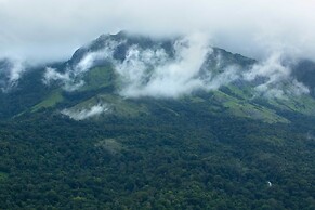 Dream Catcher Plantation Resort