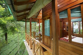 Dream Catcher Plantation Resort