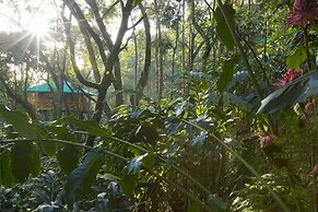 Dream Catcher Plantation Resort