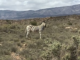 Mountain View Lodge Montagu