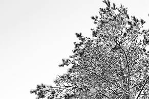 Hotel Nuuksio - Conferences and events