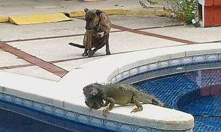 Hotel Brisas del Pacifico