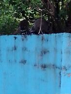 Hotel Brisas del Pacifico