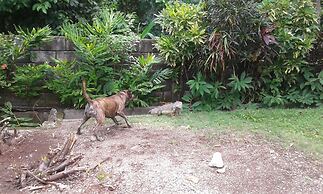 Hotel Brisas del Pacifico