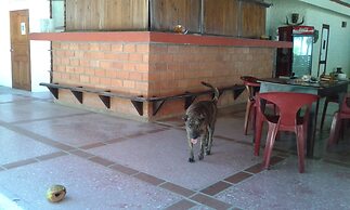 Hotel Brisas del Pacifico