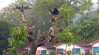 Hotel Brisas del Pacifico