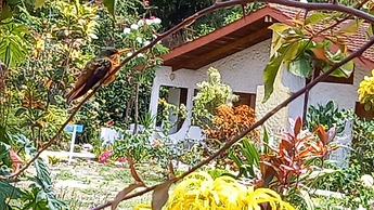 Hotel Brisas del Pacifico