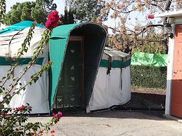 Genghis Khan in the Golan - Hostel