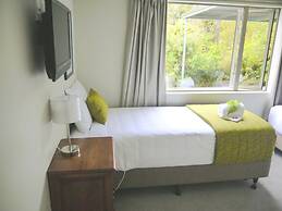 Franz Josef Treetops