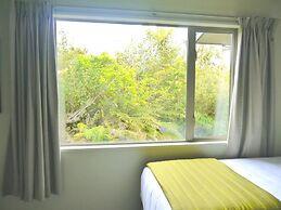 Franz Josef Treetops