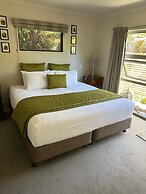 Franz Josef Treetops