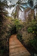 Franz Josef Treetops